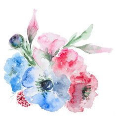 Watercolor Flowers N117