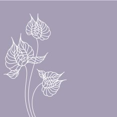 Vector floral background N58