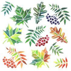 Watercolor Leaves N10