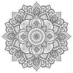 Beautiful Indian floral ornament N26