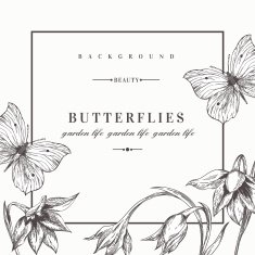 Background with flowers and butterflies N2