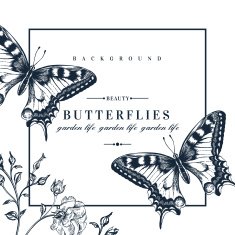 Card with butterflies and flowers N2