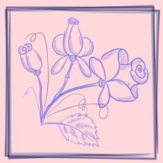 Postcard blue roses