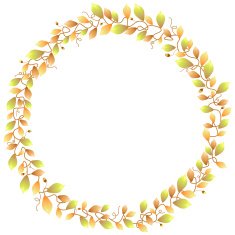 Autumn foliage frame N2