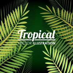 Flowers design vector illustration N31