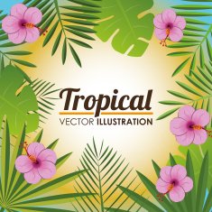Flowers design vector illustration N32
