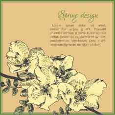 Floral card template design with dog-rose flower