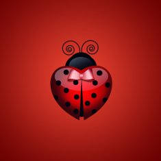 Ladybug with heart for Valentine's Day N3