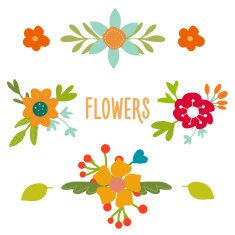 Set of vintage vector flowers N2
