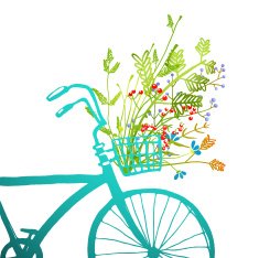 Retro Summer Bike with Bunch of Flowers Card