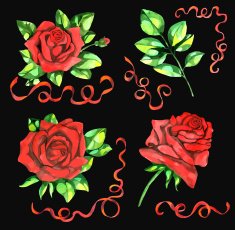 Red rose set with lace on black background
