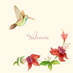 Hummingbird N6