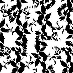 Black flowers on white background Seamless pattern Vector N2