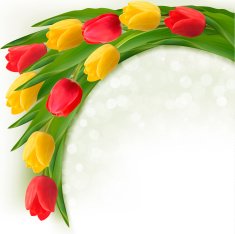 Holiday background with bouquet of colorful flowers Vector illu N2