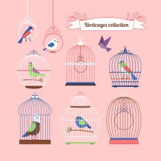 Birds and Birdcages N2