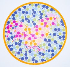 Color blind test -cock