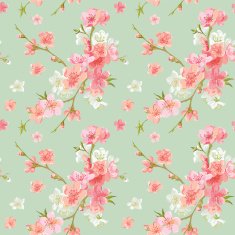 Spring Blossom Flowers Background N3
