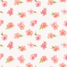 Spring Blossom Flowers Background N4