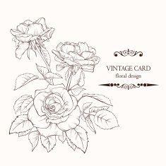 Mother's Day Floral Seamless Vector Patterns N3