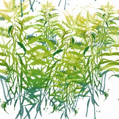 Watercolor vector spring background N19
