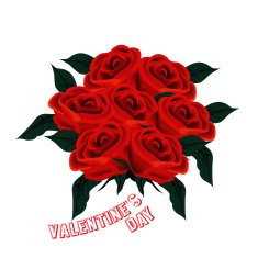 Valentine's Day N243