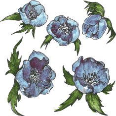 Vintage Floral Design Elements N8