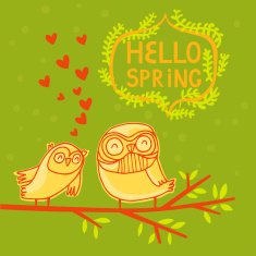 Floral card with cartoon owl in bright colors