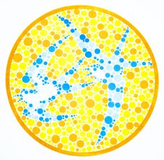Color blind test -swallow