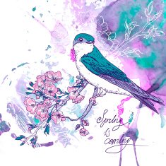 Spring cherry background with birds N3