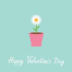 Daisy in pot Happy Valentines Day card N2