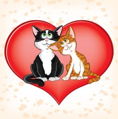 Valentine's day card N311