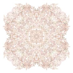 Rose petal flower shell on white background N3