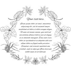 Template with place for text pattern wreath of medicinal herbs