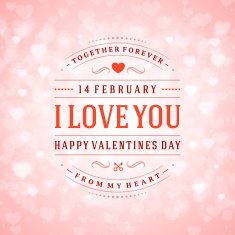 Happy valentine's day greeting card N21