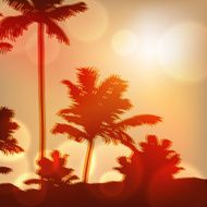 Sea sunset with island and palm trees