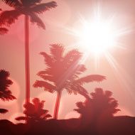 Sea sunset with island and palm trees N2