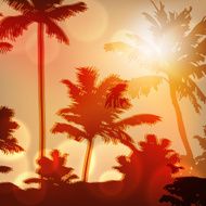Sea sunset with island and palm trees N3