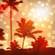 Sea sunset with island and palm trees N4