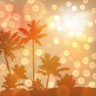 Sea sunset with island and palm trees N5