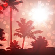 Sea sunset with island and palm trees N6