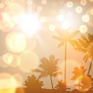 Sea sunset with island and palm trees N7
