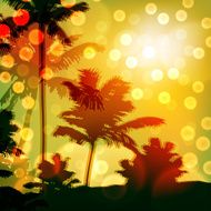 Sea sunset with island and palm trees N8