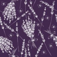 lavender flowers sketch N2