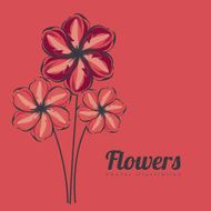 Flowers design N241