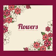 flowers frame N9