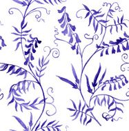 wild vetch N2