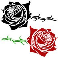 Rose N41