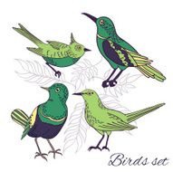 Vector birds set N2