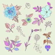 Hand Drawn vintage floral elements Set of flowers N3