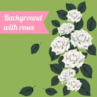 Colorful background with white roses